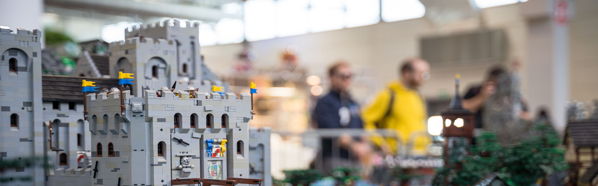 Fiera Internazionale del modellismo - demo  3